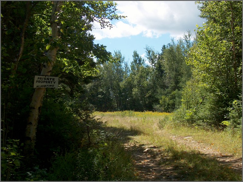 06 McConnel Field.jpg