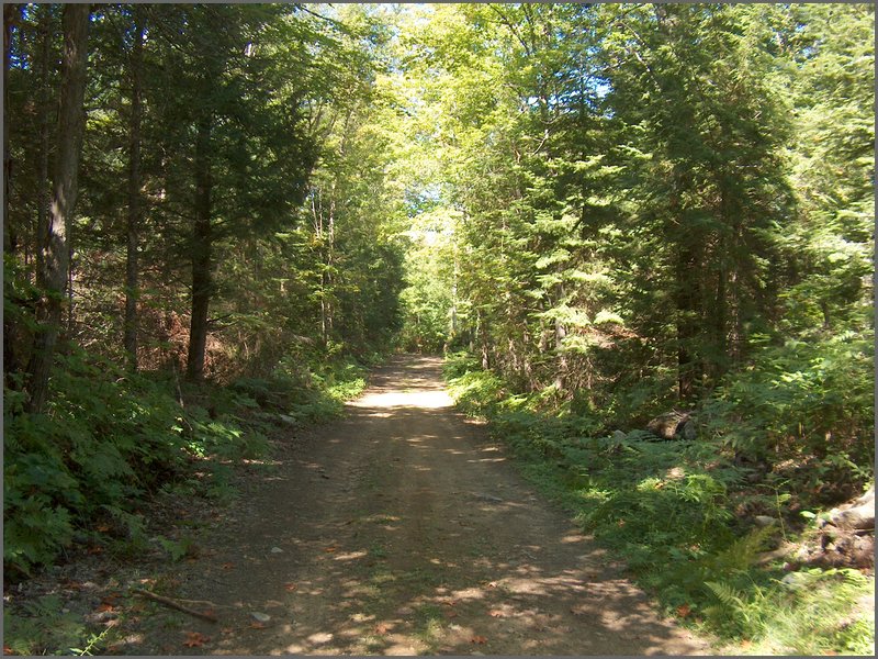 12 Nipissing Rosseau Road.jpg