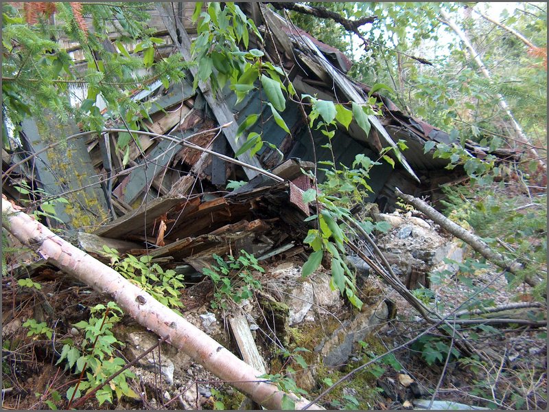 29 Mechefski's House.jpg