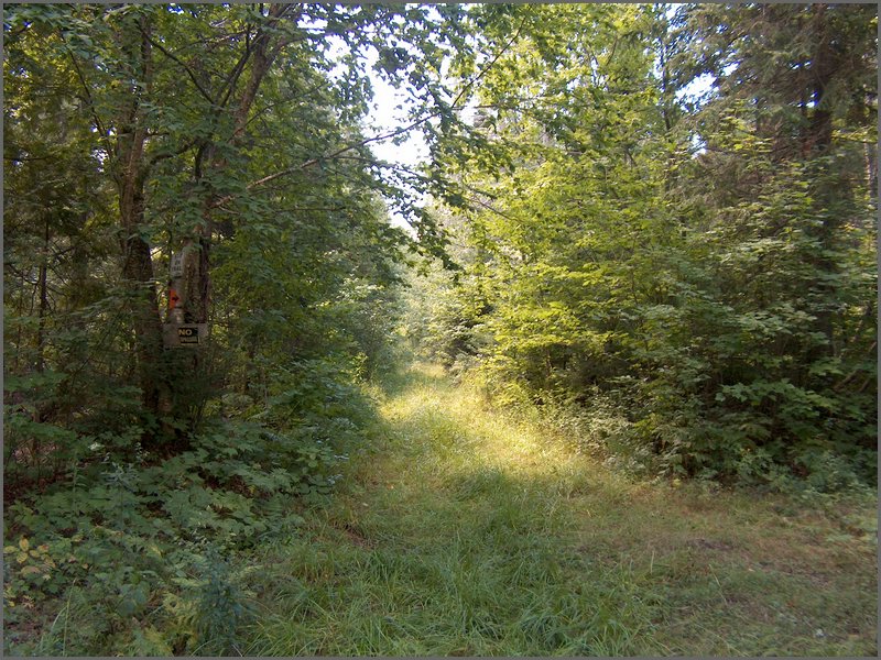 33 Near Matt's Field.jpg