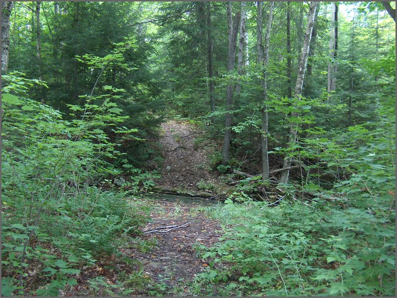 40 Mary's Creek.jpg