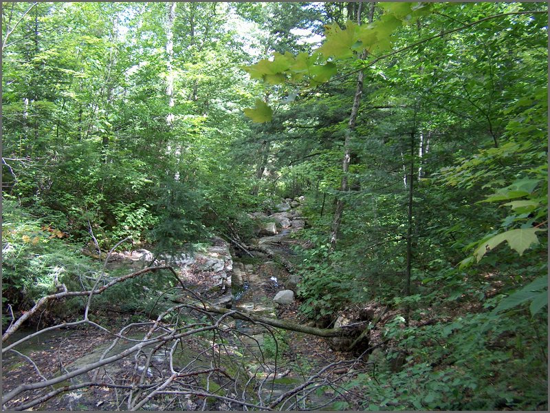 42 Mary's Creek Washout.jpg