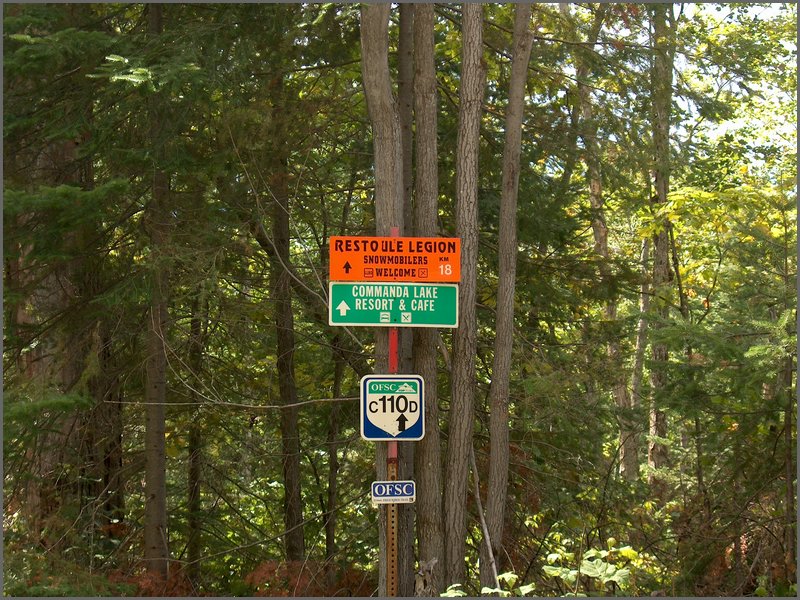 49 Signs.jpg