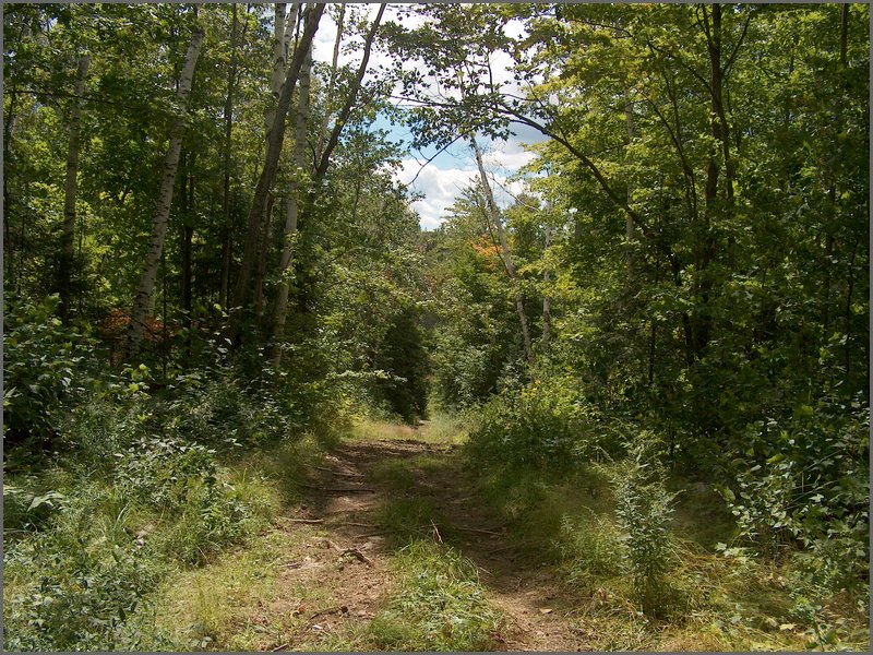 50 Porcupine Hill.jpg