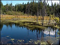 17 Beaver Pond Near Josephine's.jpg