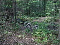 37 Hunting Trail.jpg