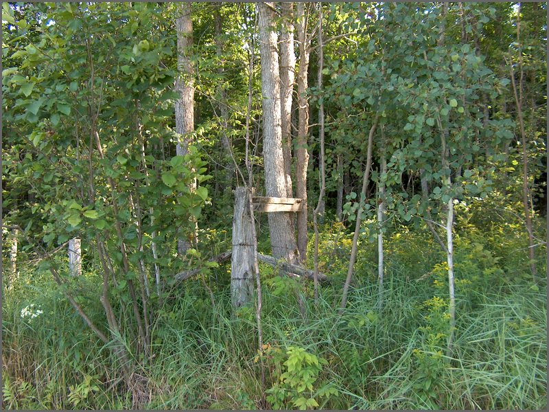 August 2006_30.JPG