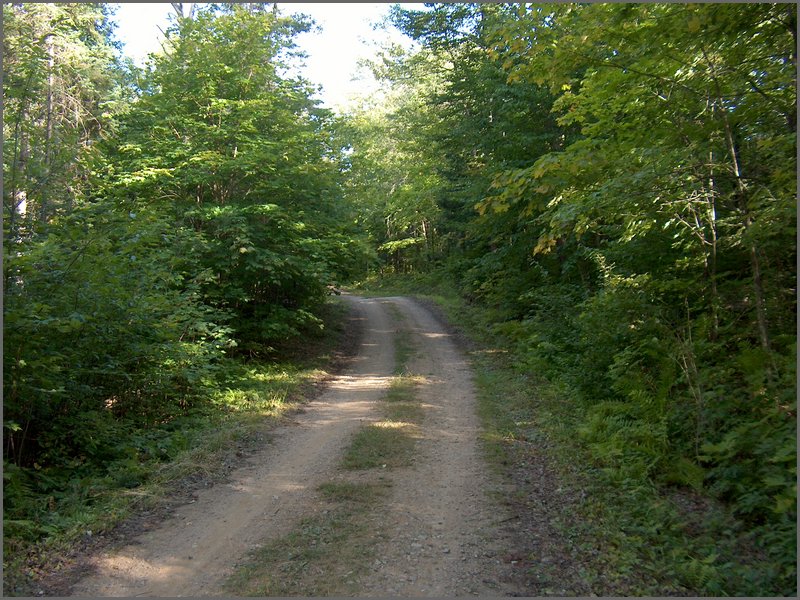 August 2006_36.JPG