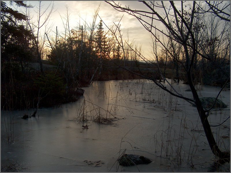 Christmas Day 2006 49.jpg