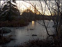 Christmas Day 2006 25.jpg