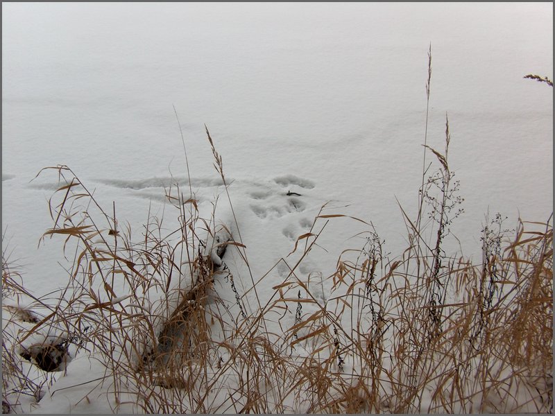 December 2006 55.JPG