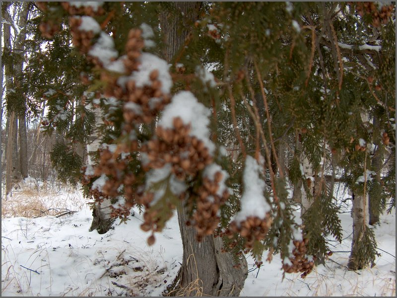 December 2006 61.JPG