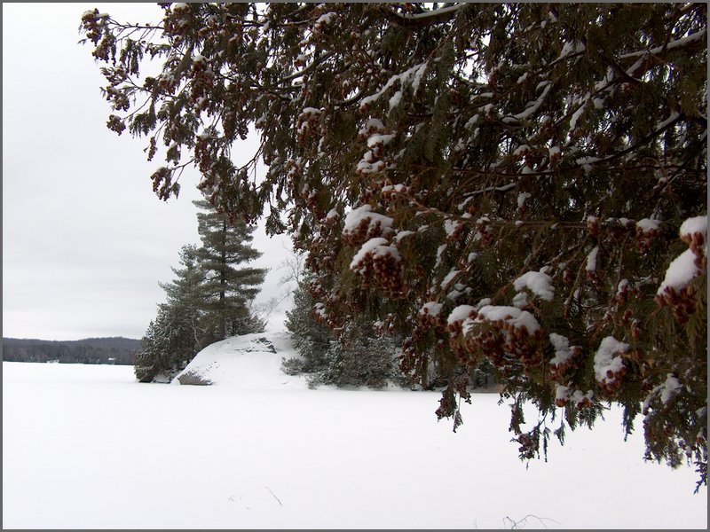 December 2006 65.JPG