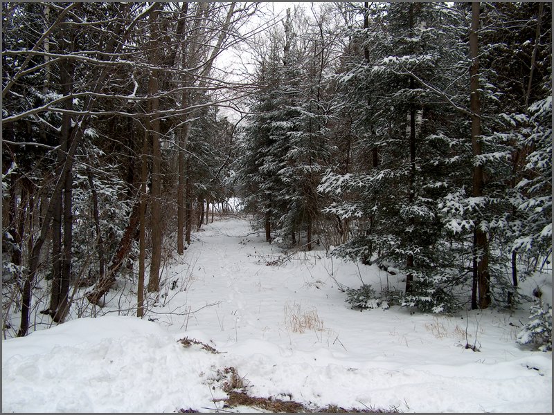 December 2006 74.JPG