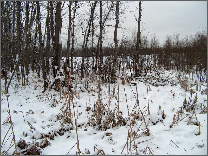 December 2006 76.JPG