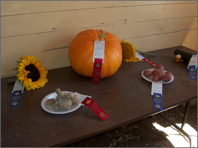Powassan_Fair_2007_02.jpg