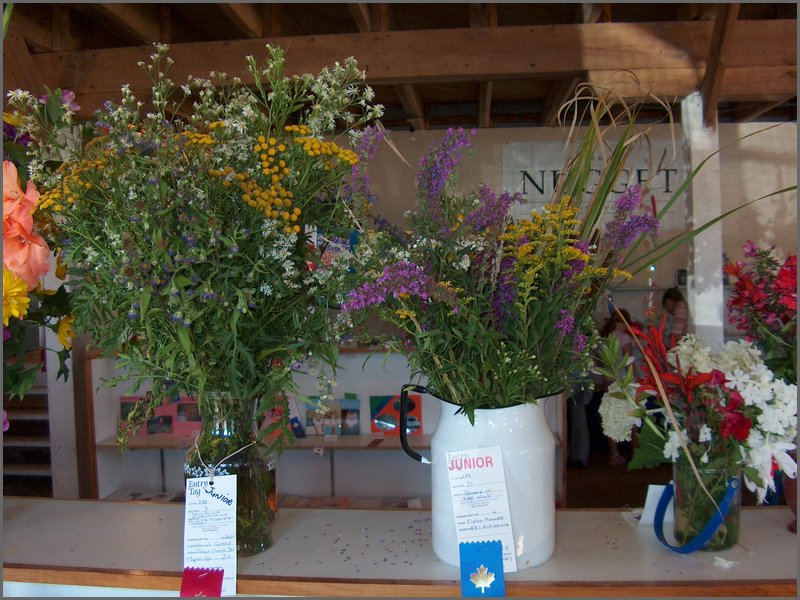 Powassan_Fair_2007_04.jpg