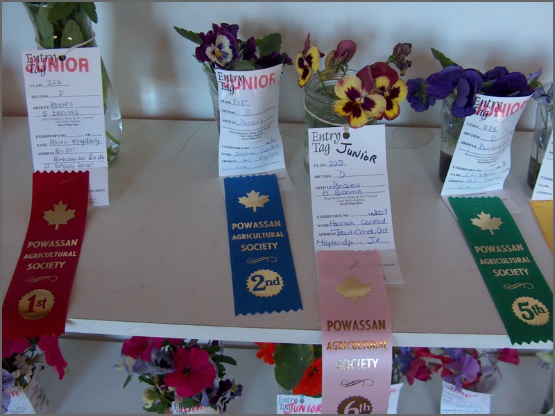 Powassan_Fair_2007_05.jpg