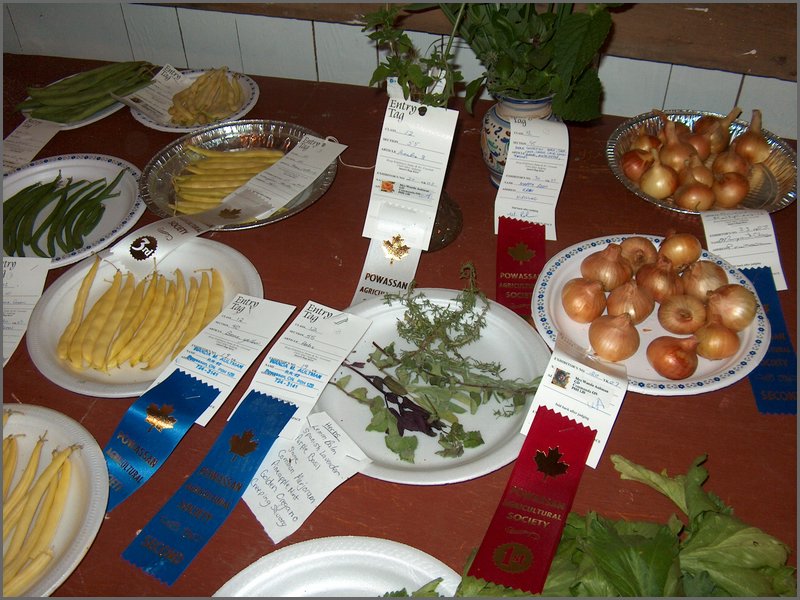 Powassan_Fair_2007_13.jpg