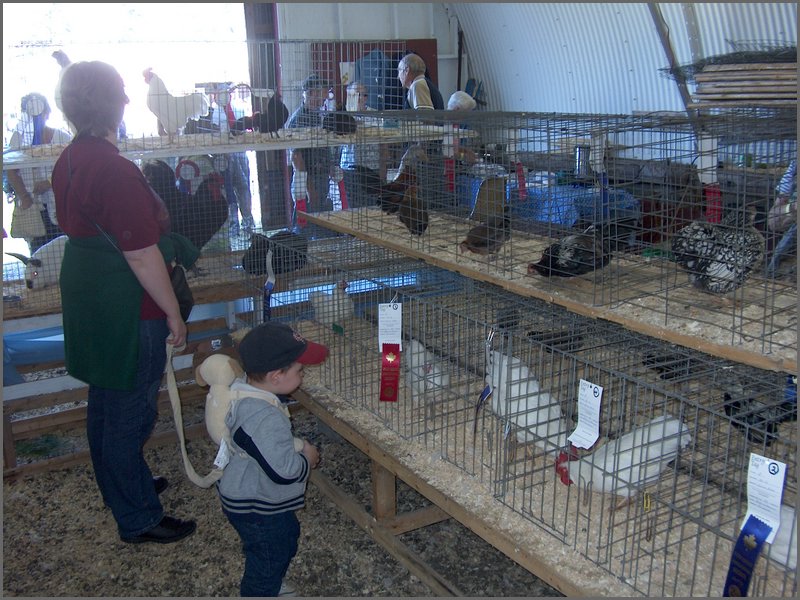 Powassan_Fair_2007_22.jpg