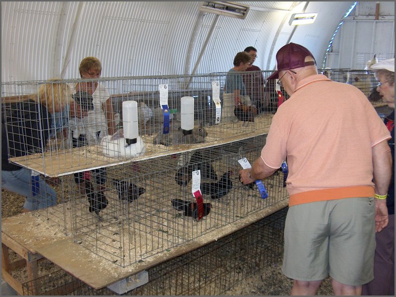 Powassan_Fair_2007_28.jpg