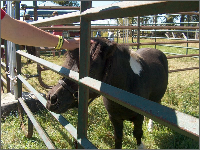 Powassan_Fair_2007_43.jpg