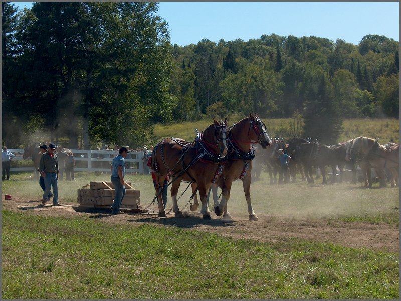 Powassan_Fair_2007_52.jpg