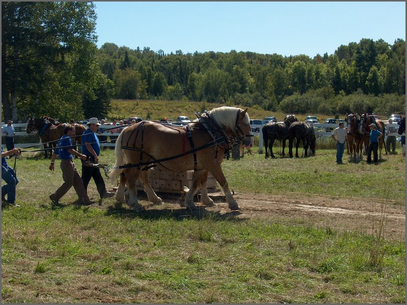 Powassan_Fair_2007_54.jpg