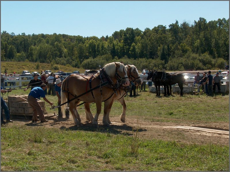Powassan_Fair_2007_55.jpg
