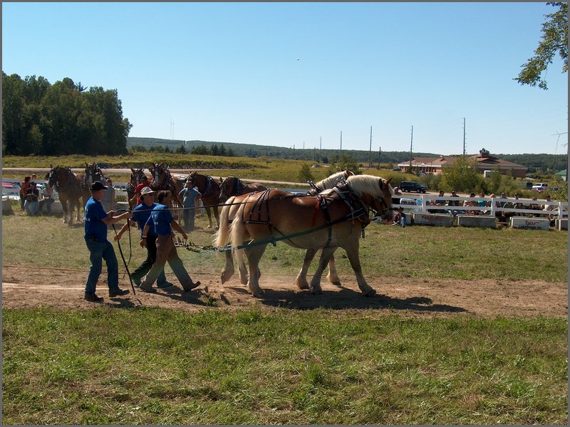 Powassan_Fair_2007_57.jpg