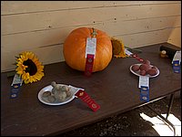 Powassan_Fair_2007_02.jpg