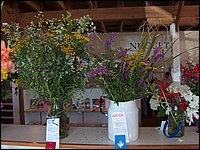 Powassan_Fair_2007_04.jpg