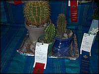 Powassan_Fair_2007_06.jpg