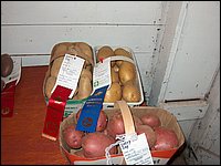 Powassan_Fair_2007_14.jpg