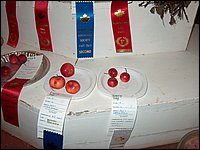 Powassan_Fair_2007_15.jpg