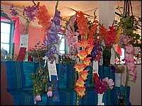 Powassan_Fair_2007_17.jpg