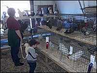 Powassan_Fair_2007_22.jpg