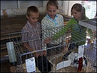 Powassan_Fair_2007_27.jpg