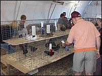 Powassan_Fair_2007_28.jpg