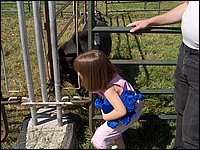 Powassan_Fair_2007_44.jpg