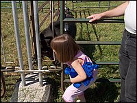 Powassan_Fair_2007_44.jpg