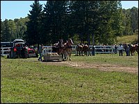 Powassan_Fair_2007_50.jpg