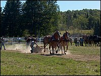 Powassan_Fair_2007_51.jpg