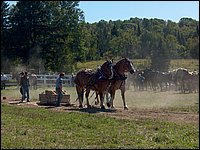 Powassan_Fair_2007_52.jpg