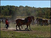 Powassan_Fair_2007_53.jpg