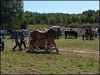 Powassan_Fair_2007_54.jpg