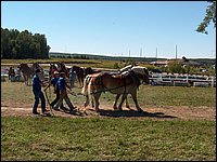 Powassan_Fair_2007_57.jpg