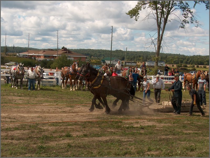 Hpim5518.jpg