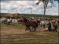 Hpim5518.jpg