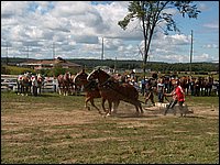 Hpim5523.jpg